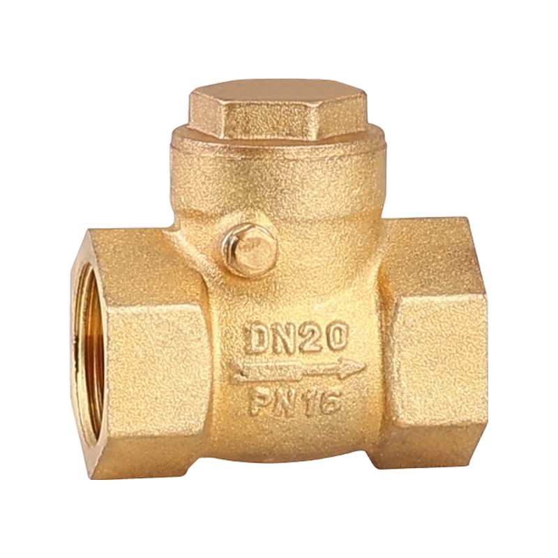 1-дюймовый латунный обратный клапан для воды